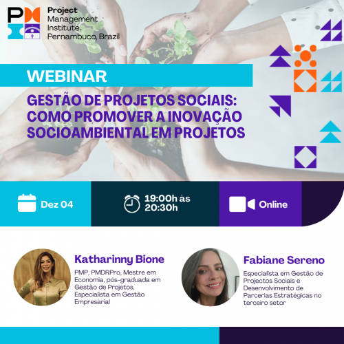 Gestão de Projetos Sociais: Como promover a Inovação Socioambiental em Projetos